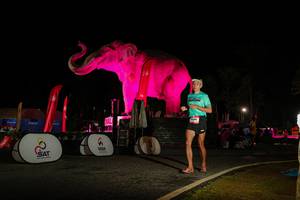 BIB: 
                            <button type="button" onclick="openModal(26533956)" class="btn btn-primary btn-sm float-right btn-popup" data-toggle="modal" data-target=".modal-high-quality">
                        <i class="fas fa-shopping-cart"></i> Add to Cart
                    </button>
                                            <button type="button" onclick="isThisMe(26533956, true)" class="btn btn-success btn-sm float-right btn-popup btn-isme hidden" data-toggle="tooltip" data-placement="bottom" title="นี่คือรูปของคุณใช่ไหม คลิกที่นี่เพื่อเอาเข้าอัลบั้ม">
                        <i class="fas fa-plus"></i> Add to album
                    </button>
                    <button type="button" onclick="isThisMe(26533956, false)" class="btn btn-warning btn-sm float-right btn-popup btn-isnotme hidden">
                        <i class="fas fa-ban"></i> Remove from album
                    </button>